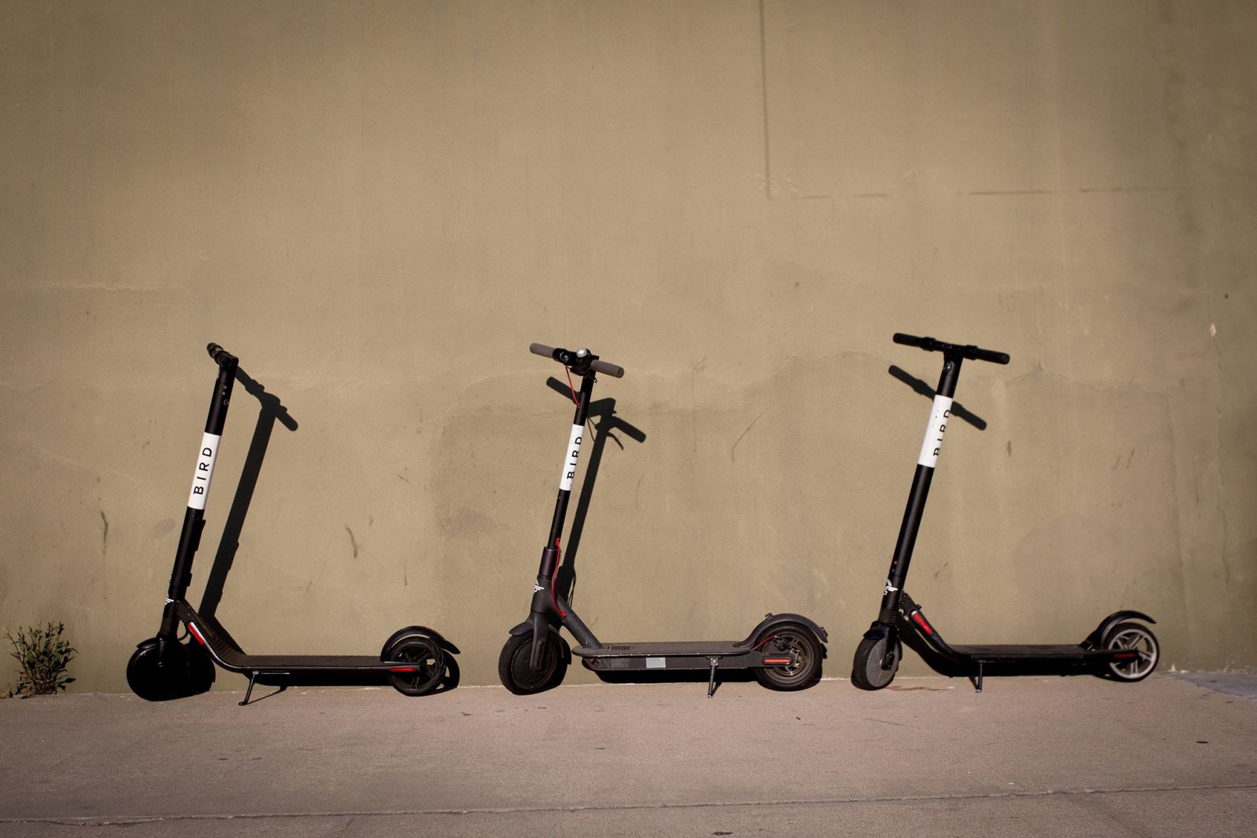 Bird scooters